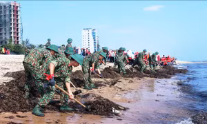 Sửa đổi một số quy định về bảo vệ môi trường