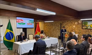 Thúc đẩy trao đổi thương mại, đầu tư Việt Nam - Brazil