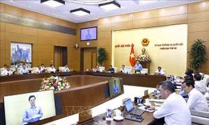 Trao quyền để địa phương tự quyết