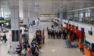 Lý do Bộ Giao thông vận tải chưa bỏ trần giá vé máy bay