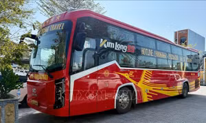 Xử lý xe khách giường nằm vi phạm quy định về kiểm định an toàn kỹ thuật