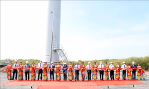 Thêm hai nhà máy điện gió tại vùng ven biển Sóc Trăng đi vào hoạt động