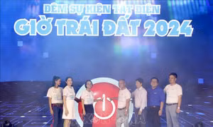 Thành phố Hồ Chí Minh: Đồng loạt tắt đèn hưởng ứng Giờ Trái đất