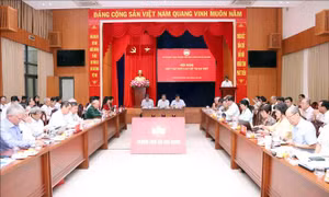 Luật Đô thị đặc biệt tạo cơ chế đặc biệt cho sự phát triển của TP Hồ Chí Minh