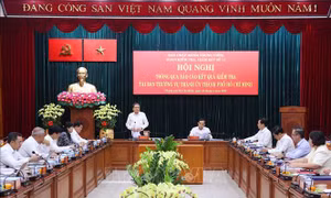 Thông qua kết quả kiểm tra tại Ban Thường vụ Thành ủy TP Hồ Chí Minh