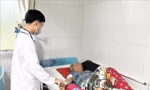 Sóc Trăng: Ghi nhận ca nhiễm khuẩn liên cầu lợn trên người