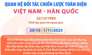 Quan hệ Đối tác chiến lược toàn diện Việt Nam - Hàn Quốc