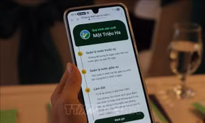 Số hóa quy trình canh tác lúa, hướng tới cấp nhãn hiệu 'Gạo Việt Xanh phát thải thấp'