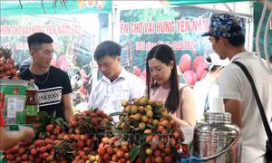 Khai mạc phiên chợ vải Hưng Yên năm 2024