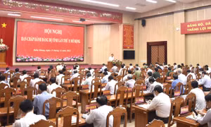 Kiên Giang: Chuyển biến tích cực trong thực hiện đường lối đổi mới của Đảng