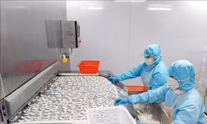 Mũi đột phá trong thực hiện công nghiệp hóa, hiện đại hóa ở Quảng Ninh