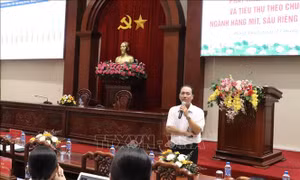 Chuẩn hóa sản xuất mít, sầu riêng theo yêu cầu thị trường Trung Quốc