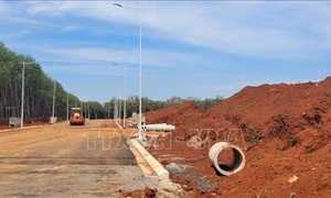 Tiến độ giải ngân đạt thấp trong những tháng đầu năm