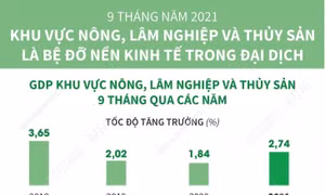 Khu vực nông, lâm nghiệp và thủy sản là bệ đỡ nền kinh tế trong đại dịch