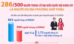 286/500 người trúng cử Đại biểu Quốc hội là người do địa phương giới thiệu