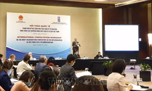 Việt Nam thực hiện cam kết quốc tế về bảo đảm quyền con người