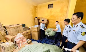 Phối hợp chặt chẽ trong phòng chống buôn lậu, gian lận thương mại