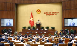 Sửa đổi Luật Giao dịch điện tử 2005 - Bài 1: Chưa đủ nền tảng cho 'cuộc sống số'