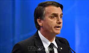 Kết quả sơ bộ bầu cử tổng thống Brazil: Ứng cử viên cánh hữu đang dẫn đầu