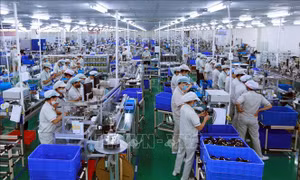 Chuyên gia Ấn Độ đánh giá tích cực về tốc độ tăng trưởng của kinh tế Việt Nam