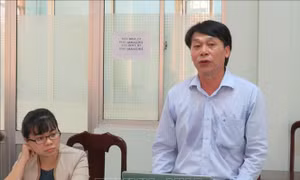 Cần Thơ: Hiệu quả từ mô hình luân canh 'lúa- vừng -lúa'