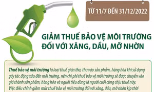 Từ 11/7 đến 31/12/2022: Giảm thuế bảo vệ môi trường đối với xăng, dầu, mỡ nhờn