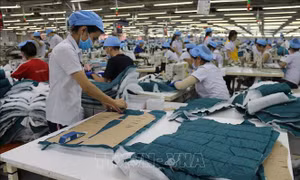 Kinh tế Bà Rịa-Vũng Tàu phục hồi tích cực