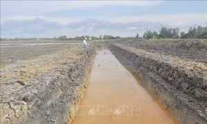 Bổ sung 5 khu vực khai thác cát cho các dự án cao tốc