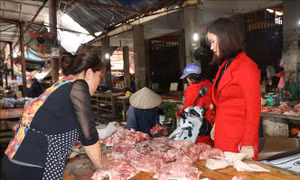 Thủ tướng yêu cầu sớm giảm giá thịt lợn