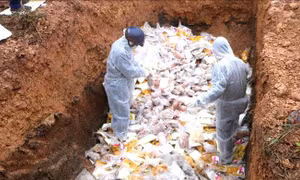 Tiêu hủy gần 2.500 kg sản phẩm động vật các loại không rõ nguồn gốc xuất xứ
