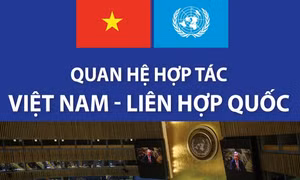 Quan hệ hợp tác Việt Nam - Liên hợp quốc