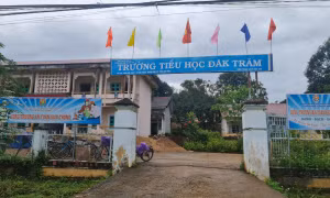 Sớm kiện toàn chức danh Hiệu trưởng các trường học để đảm bảo công tác giáo dục