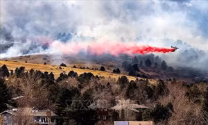 Cháy rừng dữ dội tại New Mexico, Mỹ