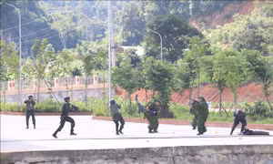 Diễn tập khu vực phòng thủ và phòng, chống khủng bố tại Sơn La