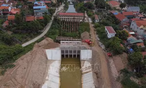 Giám sát việc bảo đảm dòng chảy tối thiểu ở hạ lưu các hồ chứa, đập dâng