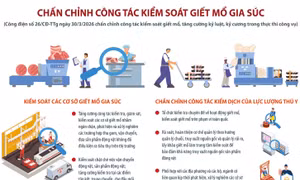 Chấn chỉnh công tác kiểm soát giết mổ gia súc