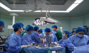 Lần đầu tiên ghép thận từ người hiến chết não tại Đồng bằng sông Cửu Long