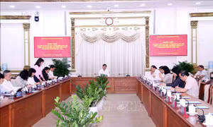 Công tác chuẩn bị bầu cử tại TP Hồ Chí Minh đúng tiến độ, quy định