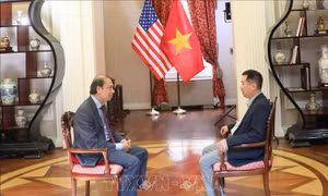 Đại sứ quán Việt Nam tại Mỹ nỗ lực thúc đẩy tìm kiếm, xác định danh tính hài cốt liệt sĩ