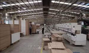 Mỹ hoãn tăng thuế đối với một số đồ nội thất nhập khẩu