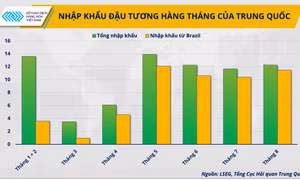 Thị trường đậu tương cuối năm 2025: Áp lực dư cung hay cơ hội phục hồi giá?