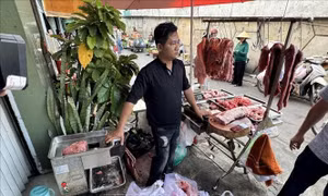 Triệt phá đường dây làm giả hơn 15 tấn thịt bò từ thịt heo nái