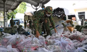 Nông dân Đồng Tháp tiếp sức người dân TP Hồ Chí Minh chống dịch