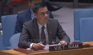 UNICEF mong muốn đồng hành với Việt Nam trong hỗ trợ trẻ em 