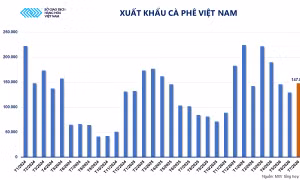 MXV-Index tăng phiên thứ ba liên tiếp, nhóm năng lượng ‘kéo’ thị trường