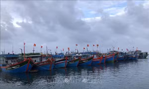 Quảng Ngãi kêu gọi tàu, thuyền khẩn trương di chuyển ra khỏi vùng nguy hiểm