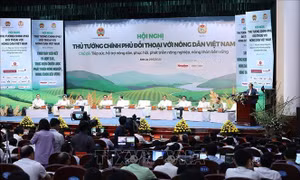 Đồng vốn ngân hàng đồng hành cùng mục tiêu phát triển nông nghiệp, nông thôn 