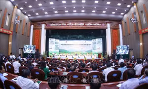 Mở rộng tín dụng chính thức để đẩy lùi tín dụng đen