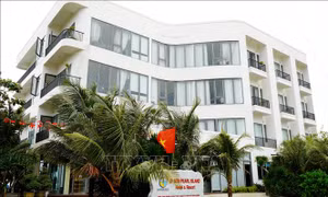 Đặc khu Lý Sơn sẵn sàng đón du khách dịp Tết Nguyên đán Bính Ngọ