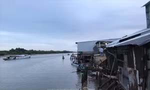 Phát triển bền vững thích ứng với biến đổi khí hậu: Cà Mau với bài toán 'giữ đất'